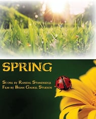 Spring Multi Media Video - Digital or Audio with Synchronization Software link